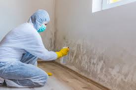 Best Commercial Mold Inspection  in Lake Morton Berrydale, WA